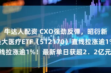 牛达人配资 CXO强劲反弹，昭衍新药涨停！A股最大医疗ETF（512170）直线拉涨逾1%！最新单日获超2．2亿元大举加仓